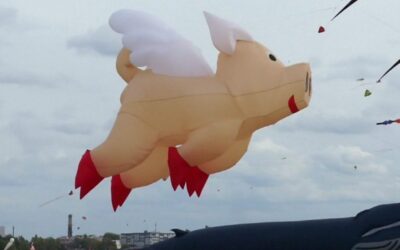 Pigs MIGHT Fly