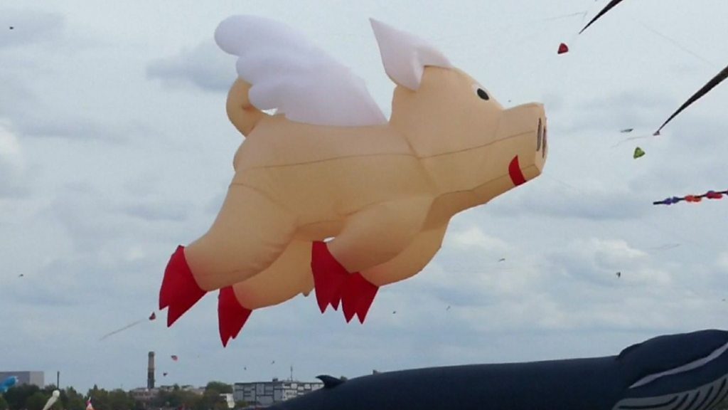 Pigs MIGHT Fly